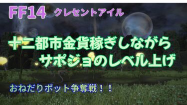 FF14 パッチ7.4｜クレセントアイル｜サポートジョブレベル上げ
